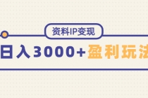 资料IP变现，能稳定日赚3000起的持续性盈利玩法 - AI 智能探索网-AI 智能探索网