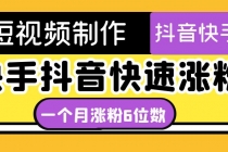 短视频油管动画-快手抖音快速涨粉：一个月粉丝突破6位数 轻松实现经济自由 - AI 智能探索网-AI 智能探索网