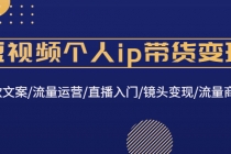 短视频个人ip带货变现：爆款文案/流量运营/直播入门/镜头变现/流量商业 - AI 智能探索网-AI 智能探索网