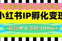 某收费培训-小红书IP孵化变现：做有影响力的小红书博主，最高单人变现300w+ - AI 智能探索网-AI 智能探索网