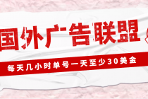 外面收费1980最新国外LEAD广告联盟搬砖项目，单号一天至少30美金(详细教程) - AI 智能探索网-AI 智能探索网