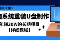 电脑系统重装U盘制作，年赚30W的长期项目【详细教程】 - AI 智能探索网-AI 智能探索网