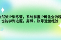 自然流IP训练营，系统掌握IP孵化全流程，也能学到选题，剪辑，账号运营经验 - AI 智能探索网-AI 智能探索网