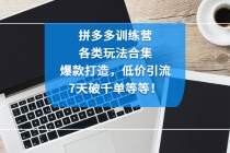 拼多多训练营：各玩法合集，爆款打造，低价引流，7天破千单等等！ - AI 智能探索网-AI 智能探索网