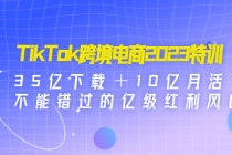 TikTok跨境电商2023特训：35亿下载＋10亿月活，不能错过的亿级红利风口 - AI 智能探索网-AI 智能探索网