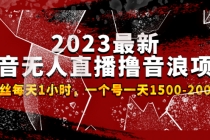 2023最新抖音无人直播撸音浪项目，0粉丝每天1小时，一个号一天1500-2000元 - AI 智能探索网-AI 智能探索网