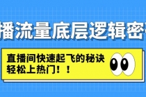 直播流量底层逻辑密码：直播间快速起飞的秘诀，轻松上热门 - AI 智能探索网-AI 智能探索网