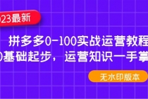 2023拼多多0-100实战运营教程，0基础起步，运营知识一手掌握 - AI 智能探索网-AI 智能探索网