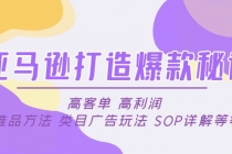 亚马逊打造爆款秘诀：高客单 高利润 推品方法 类目广告玩法 SOP详解等等 - AI 智能探索网-AI 智能探索网