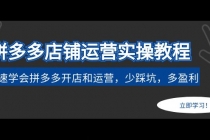 拼多多店铺运营实操教程：快速学会拼多多开店和运营，少踩坑，多盈利 - AI 智能探索网-AI 智能探索网