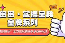 拼多多·实操宝典：金牌系列“小白到高手”带你全方位玩转拼多多各种玩法 - AI 智能探索网-AI 智能探索网