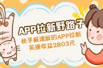 APP拉新野路子：快手极速版的APP拉新赚，实操收益2803元 - AI 智能探索网-AI 智能探索网