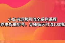 小红书运营引流全系列课程：教你养高权重新号，实操每天引流100精准粉 - AI 智能探索网-AI 智能探索网