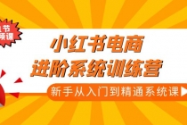 小红书电商进阶系统训练营：新手从入门到精通系统课 - AI 智能探索网-AI 智能探索网