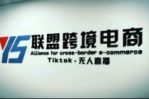 Tiktok无人直播，不出镜不剪辑不拍摄不发货无售后的跨境短视频躺赚玩法 - AI 智能探索网-AI 智能探索网