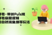 视频号·带货Puls班，视频号底层逻辑，起号自然流鱼塘等玩法 - AI 智能探索网-AI 智能探索网