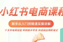 小红书电商新手入门到精通实操课，从入门到精通做爆款笔记，开店运营 - AI 智能探索网-AI 智能探索网