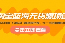 淘宝蓝海无货源项目，不囤货不推广只做冷门高利润代发，花一半时间赚10倍钱 - AI 智能探索网-AI 智能探索网