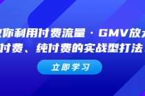 教你利用付费流量·GMV放大，微付费、纯付费的实战型打法！ - AI 智能探索网-AI 智能探索网