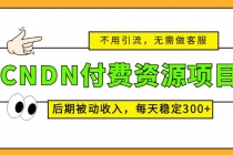 CNDN付费资源项目，不用引流，无需做客服，后期被动收入，每天稳定300+ - AI 智能探索网-AI 智能探索网