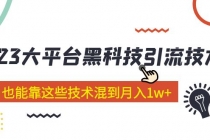 价值4899的2023大平台黑科技引流技术 小白也能靠这些技术混到月入1w+29节课 - AI 智能探索网-AI 智能探索网