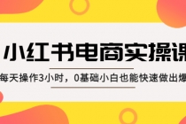 小红书·电商实操课：每天操作3小时，0基础小白也能快速做出爆款！ - AI 智能探索网-AI 智能探索网