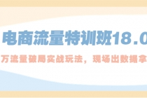 电商流量特训班18.0，直引万流量破局实操玩法，现场出数据拿结果 - AI 智能探索网-AI 智能探索网