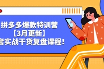 拼多多爆款特训营【3月更新】，全套实战干货​复盘课程！ - AI 智能探索网-AI 智能探索网