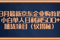 3月最新京东企业购教程，小白单人日利润500+撸货项目 - AI 智能探索网-AI 智能探索网