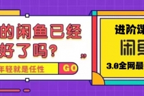 火爆全网的咸鱼玩法进阶课程，单号日入1K的咸鱼进阶课程 - AI 智能探索网-AI 智能探索网