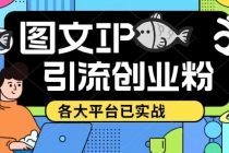 价值1688的ks dy 小红书图文ip引流实操课，日引50-100！各大平台已经实战 - AI 智能探索网-AI 智能探索网