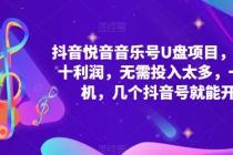 抖音音乐号U盘项目 一单几十利润 无需投入太多 一台手机 几个抖音号就开始 - AI 智能探索网-AI 智能探索网