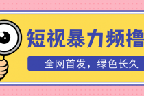 外面收费1680的短视频暴力撸金，日入300+长期可做，赠自动收款平台 - AI 智能探索网-AI 智能探索网