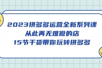 2023拼多多运营全新系列课，从此再无难做的店，15节干货带你玩转拼多多 - AI 智能探索网-AI 智能探索网