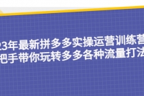 23年最新拼多多实操运营训练营：手把手带你玩转多多各种流量打法！ - AI 智能探索网-AI 智能探索网