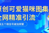 黑科技纯原创可爱猫咪图片，全网精准引流，实操5个VX号被加频繁 - AI 智能探索网-AI 智能探索网