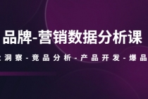 品牌-营销数据分析课，行业洞察-竞品分析-产品开发-爆品打造 - AI 智能探索网-AI 智能探索网