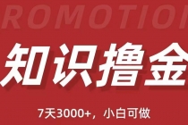 抖音知识撸金项目：简单粗暴日入1000+执行力强当天见收益(教程+资料) - AI 智能探索网-AI 智能探索网