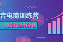 抖音电商训练营：从入门到精通，从账号定位到流量变现，抖店运营实操 - AI 智能探索网-AI 智能探索网