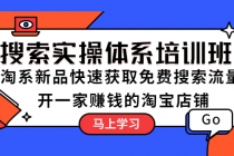 搜索实操体系培训班：淘系新品快速获取免费搜索流量 开一家赚钱的淘宝店铺 - AI 智能探索网-AI 智能探索网