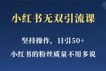 小红书无双课一天引50+女粉，不用做视频发视频，小白也很容易上手拿到结果 - AI 智能探索网-AI 智能探索网