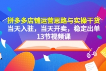 拼多多店铺运营思路与实操干货，当天入驻，当天开卖，稳定出单 - AI 智能探索网-AI 智能探索网