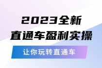 2023全新直通车·盈利实操：从底层，策略到搭建，让你玩转直通车 - AI 智能探索网-AI 智能探索网