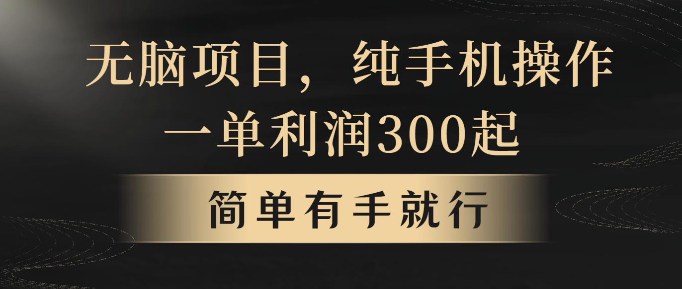 无脑项目，一单几百块，轻松月入5w+，看完就能直接操作 - AI 智能探索网-AI 智能探索网