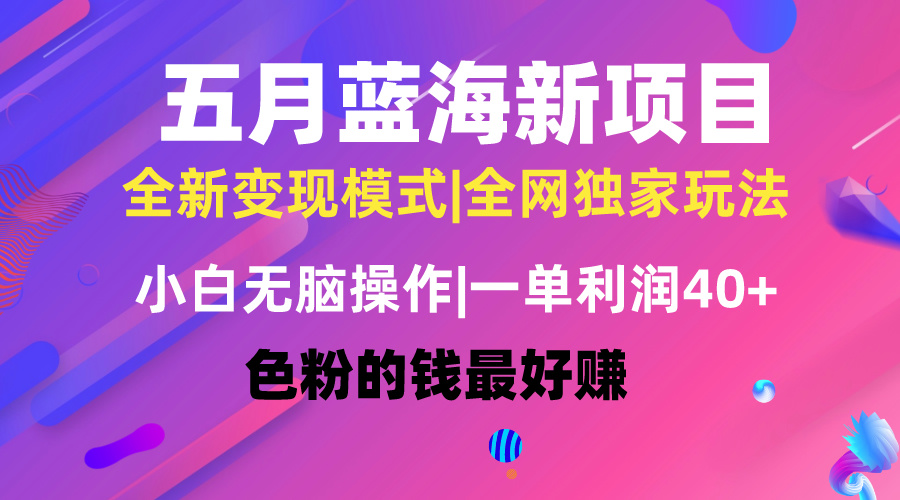 五月蓝海项目全新玩法，小白无脑操作，一天几分钟，矩阵操作，月入4万+ - AI 智能探索网-AI 智能探索网