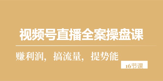 视频号直播全案操盘课，赚利润，搞流量，提势能 - AI 智能探索网-AI 智能探索网