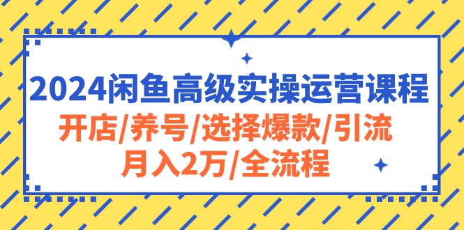 2024闲鱼高级实操运营课程：开店/养号/选择爆款/引流/月入2万/全流程 - AI 智能探索网-AI 智能探索网