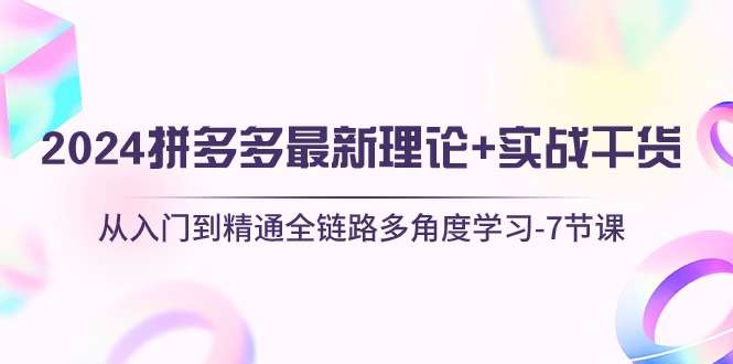 2024拼多多 最新理论+实战干货，从入门到精通全链路多角度学习-7节课 - AI 智能探索网-AI 智能探索网