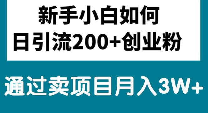 新手小白日引流200+创业粉,通过卖项目月入3W+ - AI 智能探索网-AI 智能探索网