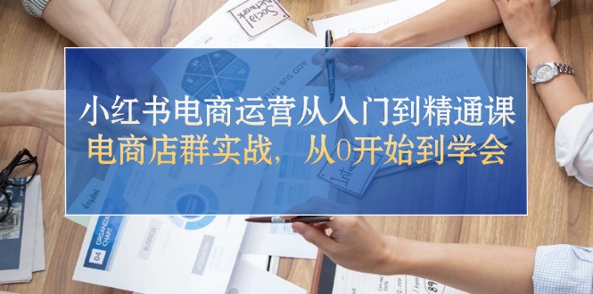 小红书电商运营从入门到精通课，电商店群实战，从0开始到学会 - AI 智能探索网-AI 智能探索网